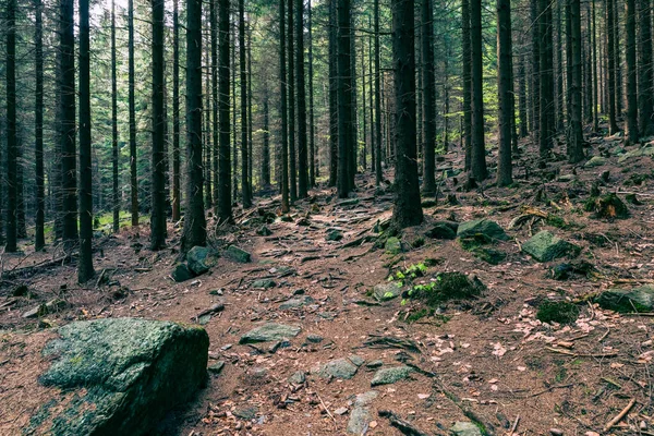 Rudawy Janowickie Landscape Park Cordillera Sudetes Polonia Vista Desde Colina —  Fotos de Stock