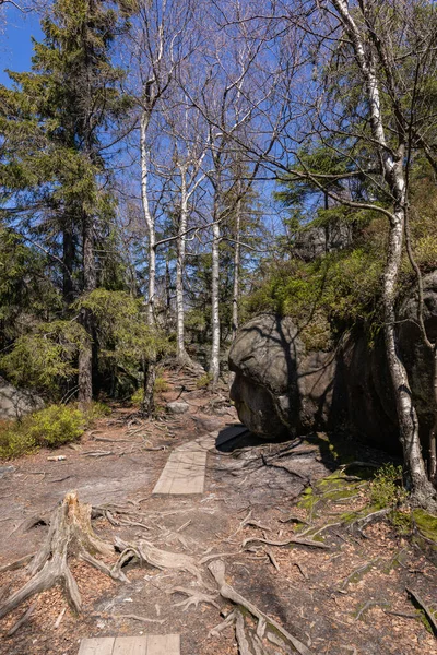 Stolowe Mountains Nationalpark Vägen Rock Labyrinth Vandringsled Bledne Skaly Errant — Stockfoto