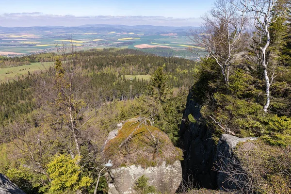 Parc National Des Monts Stolowe Vue Szczeliniec Wielki Près Kudowa — Photo