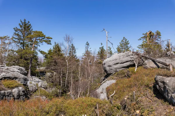 斯托罗山脉国家公园 岩石迷宫中的小路远足小径Bledne Skaly 波兰下西里西亚Kudova Zdroj附近Sudetes山脉的错误岩石 — 图库照片