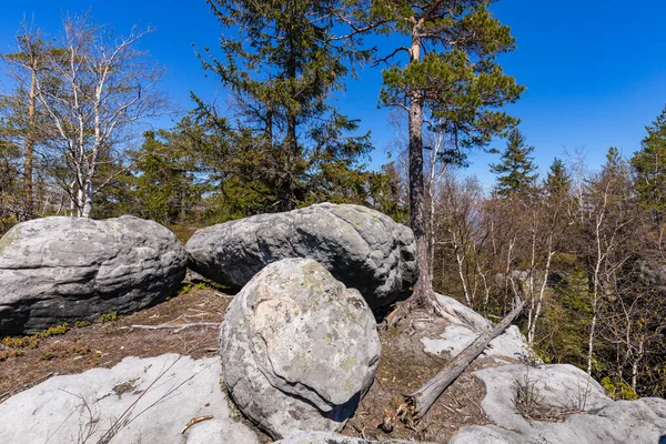 斯托罗山脉国家公园 波兰下西里西亚Kudova Zdroj附近Szczeliniec Wielki徒步小径的岩层 — 图库照片