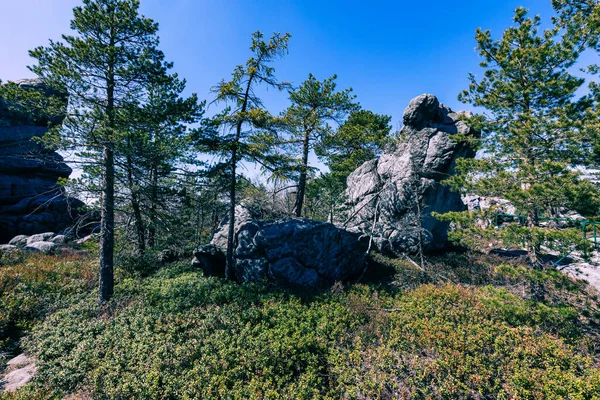 Stolowe Dağları Ulusal Parkı. Kaya Labirenti yürüyüş yolu Bledne Skaly. Kudowa-Zdroj yakınlarındaki Sudetes Dağlarındaki Hatalı Kayalar, Aşağı Silezya, Polonya.