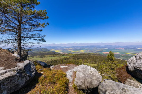 Stolowe Mountains Nationalpark Utsikt Från Szczeliniec Wielki Nära Kudowa Zdroj — Stockfoto