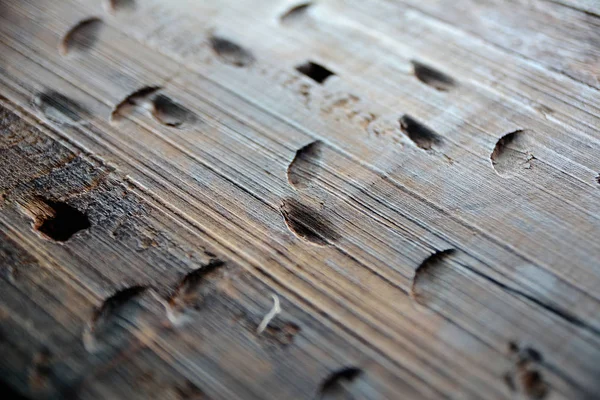 Textura de grão de madeira mostrar detalhe — Fotografia de Stock