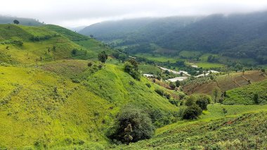 Peyzaj Mae Tho Ulusal Parkı, Tayland