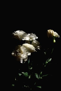 Kapalı alanda beyaz lisianthus çiçeğinden bir buket gelin.