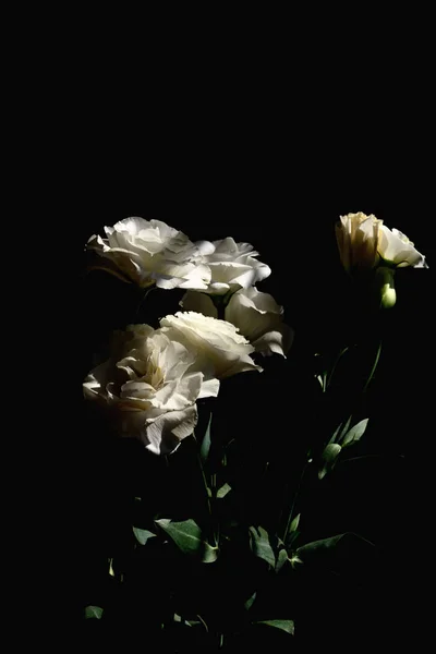 Kapalı alanda beyaz lisianthus çiçeğinden bir buket gelin.