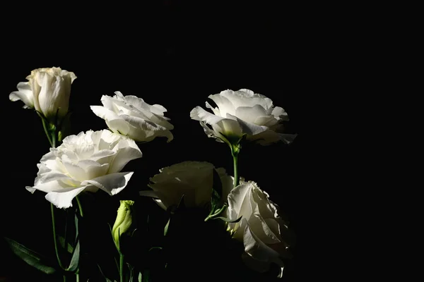 Closeup buquê de noiva de flor lisianthus branco em ba isolado — Fotografia de Stock
