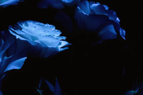 Kapalı alanda beyaz lisianthus çiçeğinden bir buket gelin.