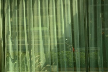 Caddenin yanındaki kafede yeşil ışık perdesi.