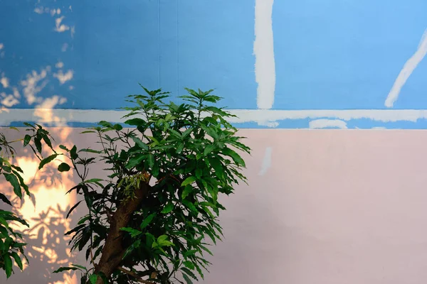 Классический Синий Цвет Окрашенные Текстуры Гранж Фон Бетонная Стена — стоковое фото