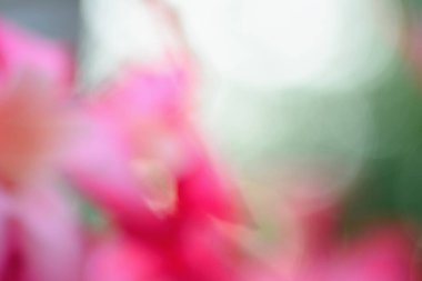 Soyut renk ışık bokeh arkaplan, odaklanmamış arkaplan.