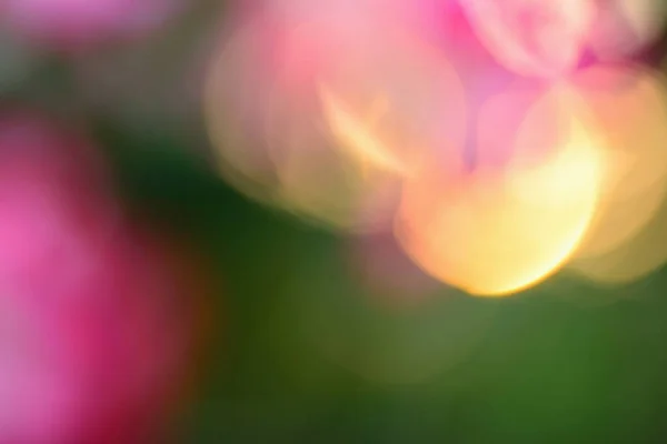 Abstract Color Light Bokeh Background Defocused Background — Stock Photo, Image