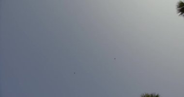 Tayland, Chiang Mai 'nin Tarihi Seyahat Yeri. Wat Ton Kain ya da Inthawawat Tapınağı, tamamen geleneksel Lanna ve çok değerli.