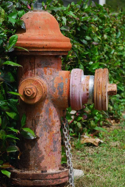 Hidrante Fogo Enferrujado Vermelho Velho Lado Cerca Árvore Verde Gramado — Fotografia de Stock