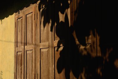 Eski teakwood pencerelerindeki ağaç yapraklarının gölgesi. Soyut arkaplan.