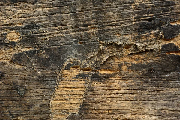 Old Wood Plank Background Wooden Texture — Stock Photo, Image