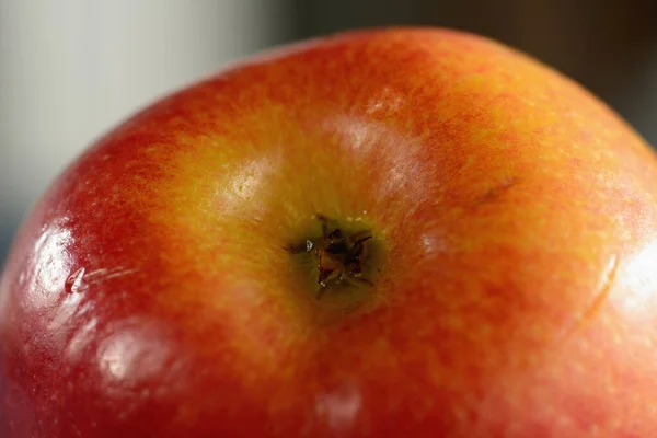 Färsk Gala Äpple Isolerad Naturlig Bakgrund — Stockfoto