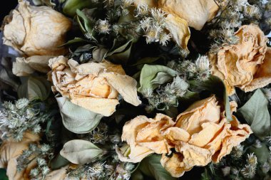 Doğal arka planda kurumuş çiçekler.