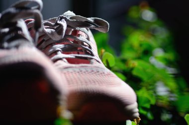 Gri ayakkabı bağcığı olan modern pembe spor ayakkabılar..