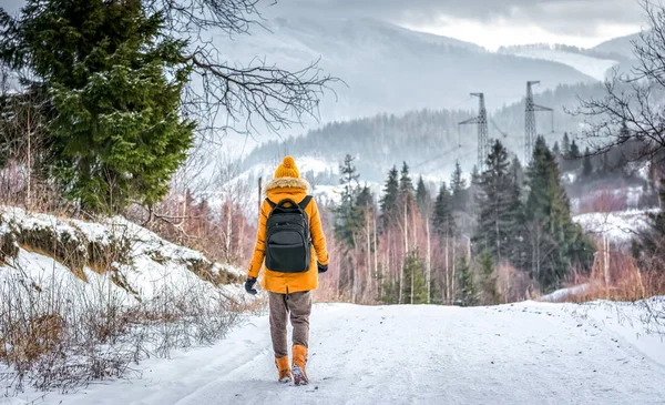 Cestovatel v zimním lese — Stock fotografie