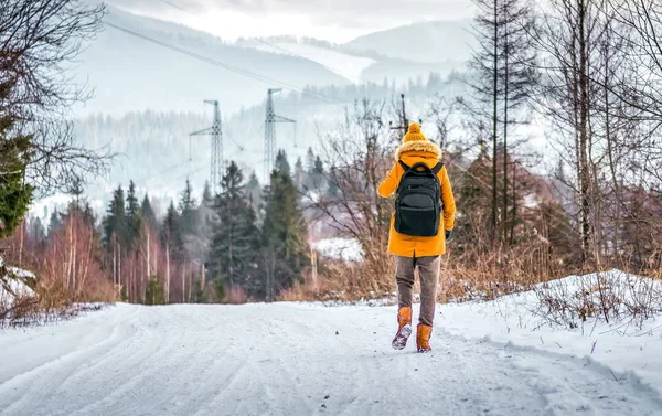 Мандрівник у зимовій гірській дорозі — стокове фото