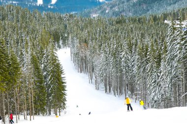 kayakçı kış orman