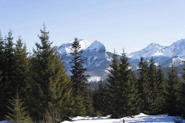 Piękny krajobraz w Tatrach — Zdjęcie stockowe