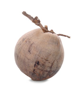 Beyaz izole kuru Hindistan cevizi