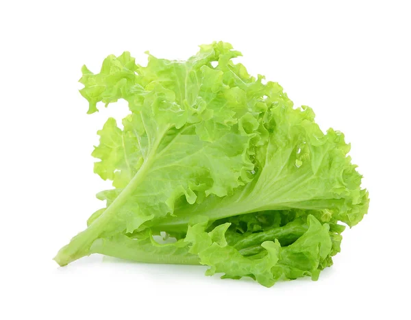 Green oak lettuce isolated on white — Stock Photo, Image