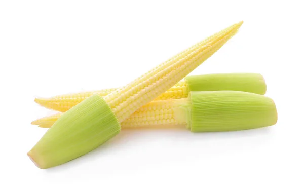 Молодая кукуруза изолированы на белом — стоковое фото