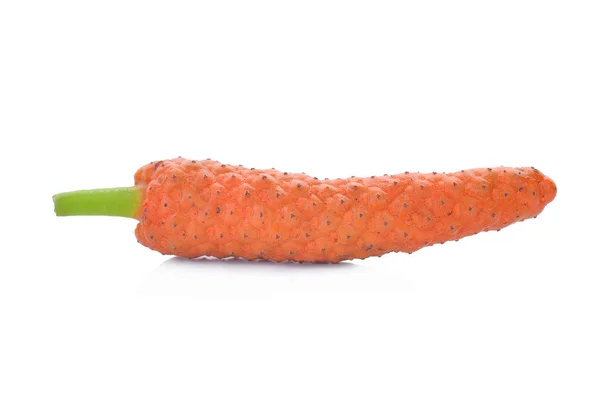 Lange peper, geslacht "Piper" geïsoleerd op wit — Stockfoto