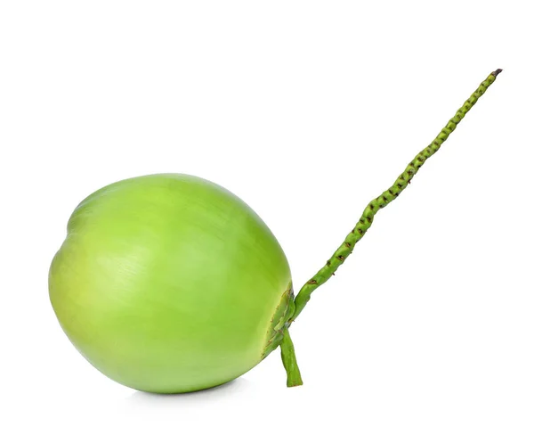 Green coconuts on white — Stock Photo, Image