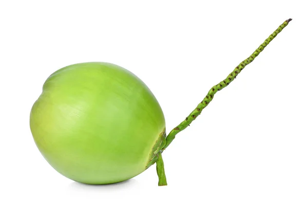 Noci di cocco verdi su bianco — Foto Stock