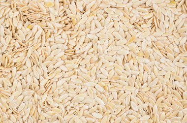 arka plan için Salatalık tohumu yakın çekim