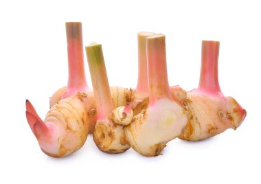 Taze havlıcan beyaz izole