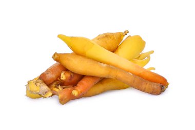 Fingerroot, Kaempfer, Boesenbergia beyaz