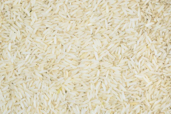 水稻为背景的特写 — 图库照片
