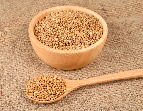 Coriander seed in wooden bowl and spoon on hemp sack background — Stock Photo, Image
