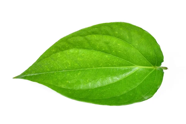 Folha de betel verde forma do coração isolado no branco — Fotografia de Stock