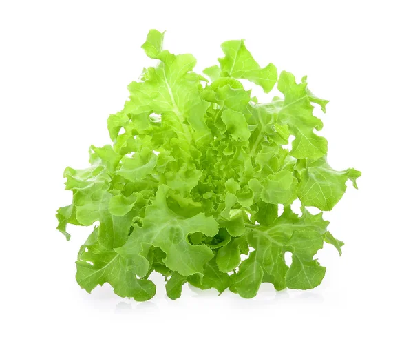 Зелений дубовий салат на білому — стокове фото