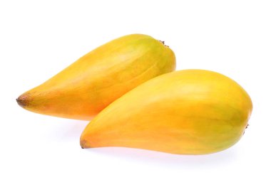 Yumurta meyve, Canistel, sarı sapot (Pouteria campechiana (Kunth)