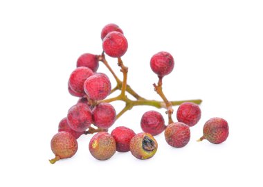 Szechuan biber (Zanthoxylum piperitum), whit üzerinde izole meyve