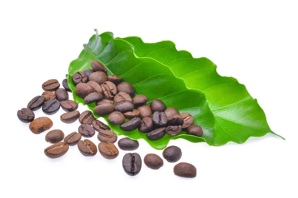 Granos de café bcoffee con hojas de café verde aislados en blanco — Foto de Stock