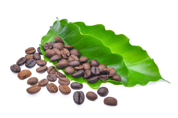 coffee bcoffee beans with green coffee leaves isolated on white 