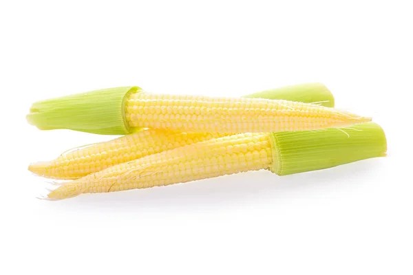 Świeże młode kukurydzy na białym tle — Zdjęcie stockowe