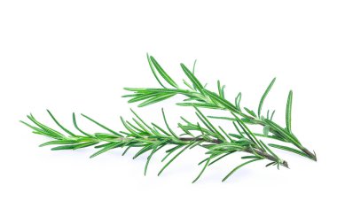 Beyaz arkaplanda taze biberiye izole edildi