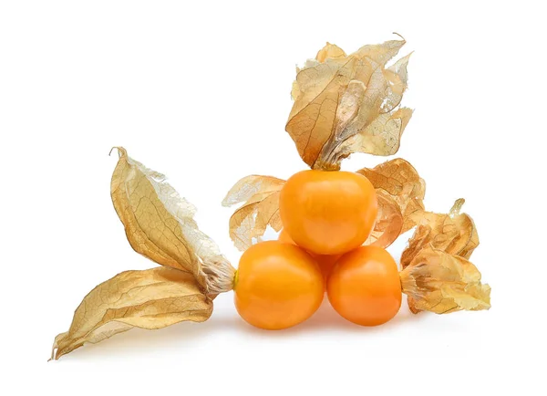 Cape gooseberry,physalis isolated on white background — Stock Photo, Image