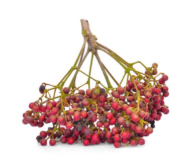 Szechuan biber (Zanthoxylum piperitum), whit üzerinde izole meyve