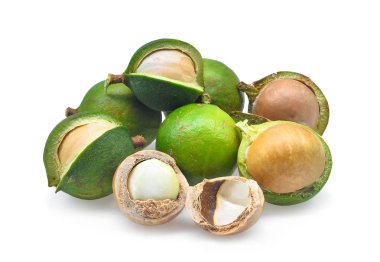 taze macadamia beyaz arka plan üzerinde izole
